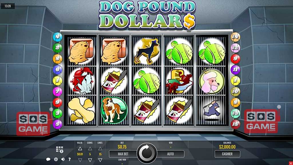 Dog Pound Dollars