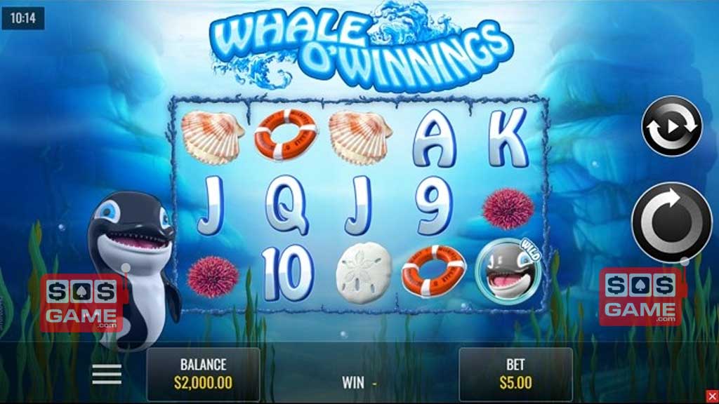 Whale O' Winnings