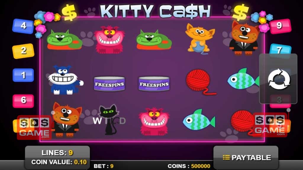 Kitty Cash