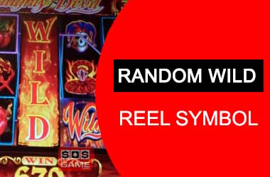 Random Wild Reel Symbol
