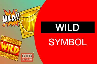 Wild Symbol