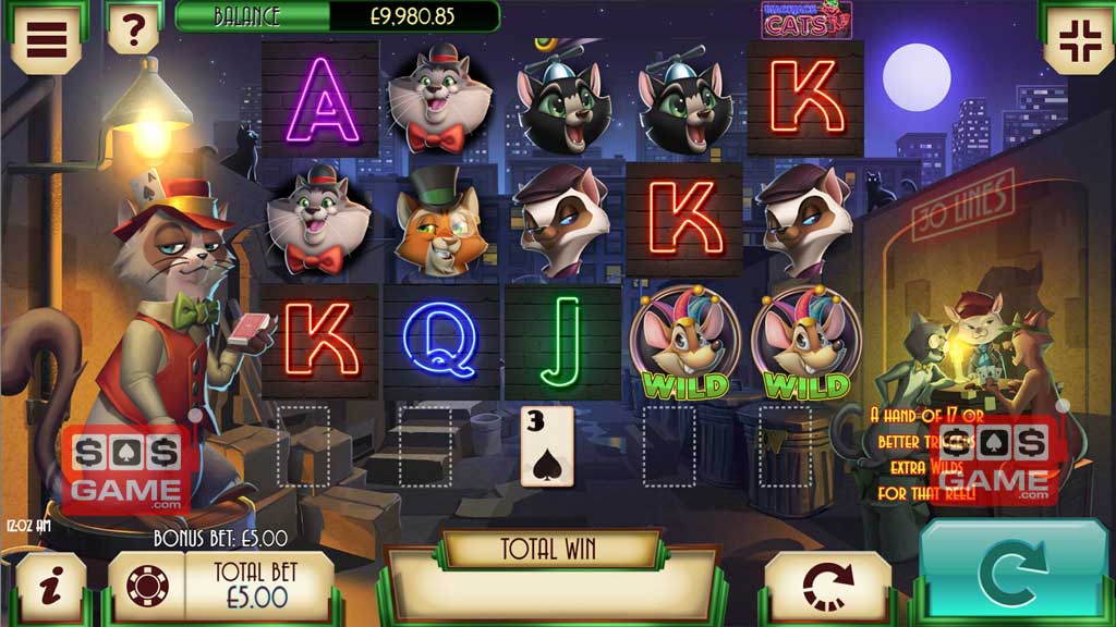 Blackjack Cats