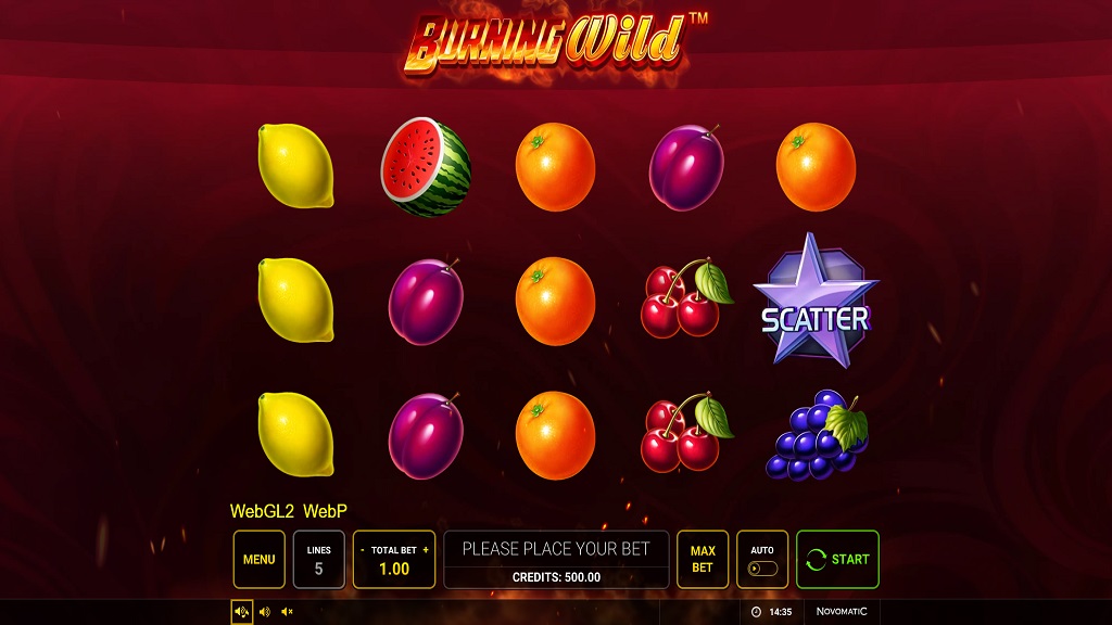 Screenshot of Burning Wild slot from Green Tube