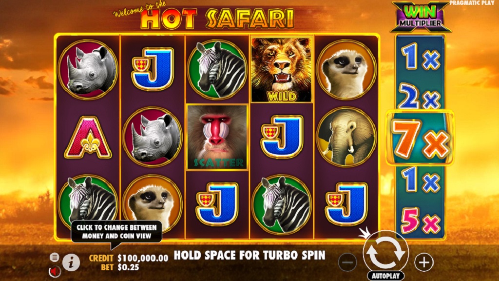 Screenshot of Hot Safari slot from Pragmatic Play