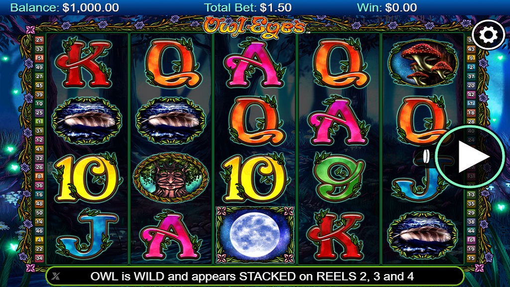 Screenshot of Owl Eyes slot from NextGen Gaming