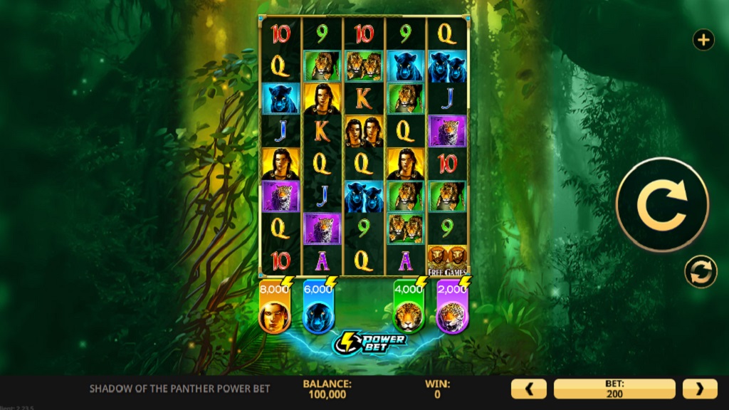 Screenshot of Shadow of the Panther Power Bet slot from High 5