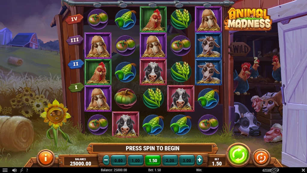 Screenshot of Animal Madness slot from Play’n Go
