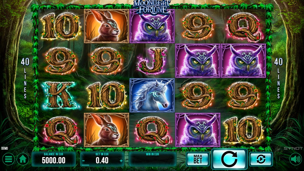 Screenshot of Moonlight Fortune slot from Synot