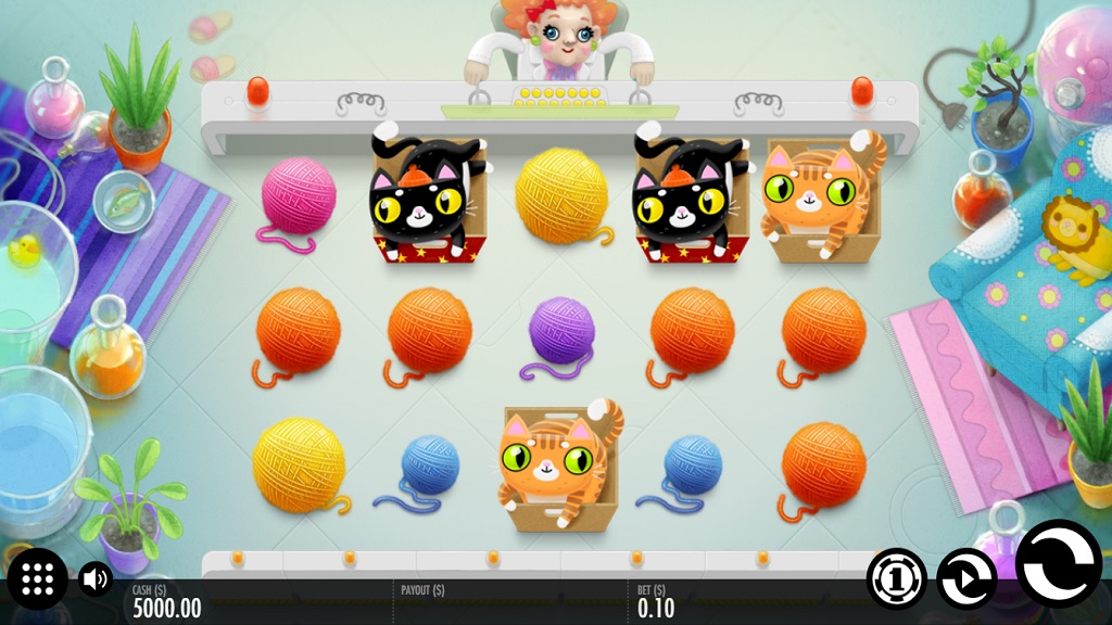 Screenshot of Not Enough Kittens slot from Thunderkick