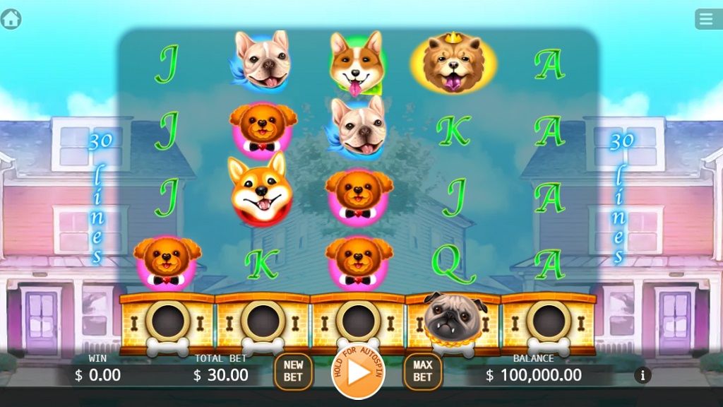 Screenshot of Who Let the Dogs Out slot from Ka Gaming