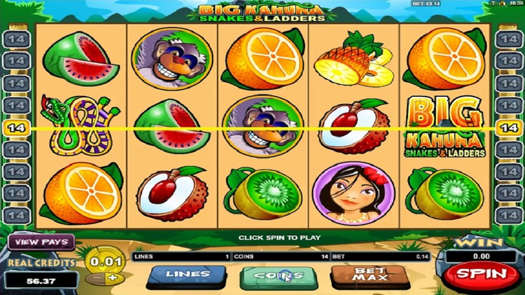 Screenshot of Big Kahuna Snakes & Ladders from Microgaming