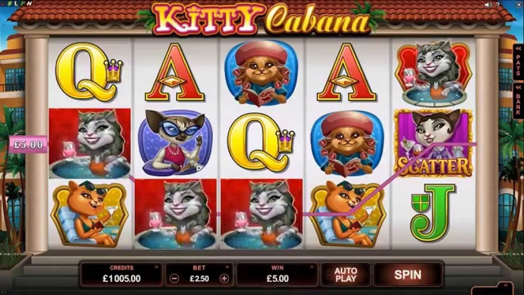 Screenshot of Kitty Cabana from Microgaming