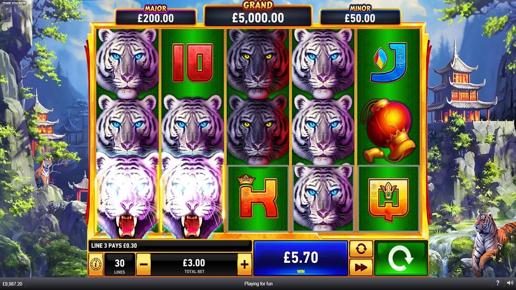 Screenshot of Tiger Stacks slot from Playtech
