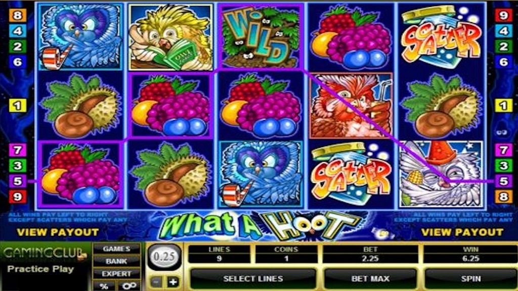 Screenshot of What a Hoot from Microgaming