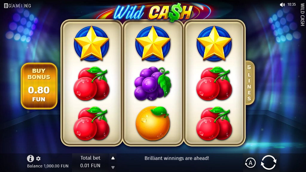 Screenshot of Wild Cash slot from BGaming