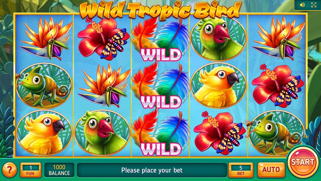 Screenshot of Wild Tropic Bird slot from InBet